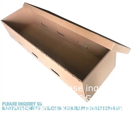 Cardboard Cremation Casket Rental Insert Paper Coffin For Cremation Coffins Funeral Caskets