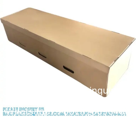Cardboard Cremation Casket Rental Insert Paper Coffin For Cremation Coffins Funeral Caskets
