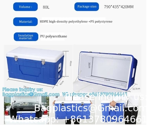Custom Medical Organ Transport Portable Cooler Wine Beer Styrofoam Ice Chest Thermal Bag Food Large Cooler Box