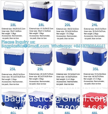 Custom Medical Organ Transport Portable Cooler Wine Beer Styrofoam Ice Chest Thermal Bag Food Large Cooler Box
