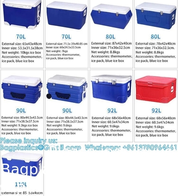 Custom Medical Organ Transport Portable Cooler Wine Beer Styrofoam Ice Chest Thermal Bag Food Large Cooler Box