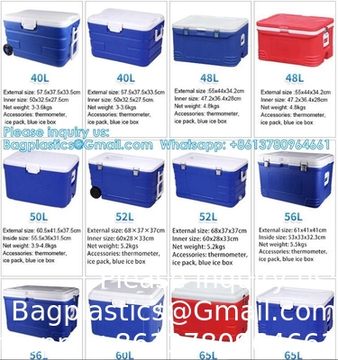 Custom Medical Organ Transport Portable Cooler Wine Beer Styrofoam Ice Chest Thermal Bag Food Large Cooler Box