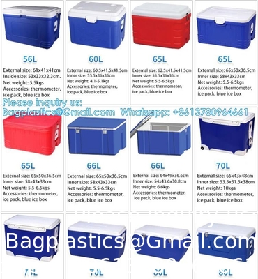 Custom Medical Organ Transport Portable Cooler Wine Beer Styrofoam Ice Chest Thermal Bag Food Large Cooler Box