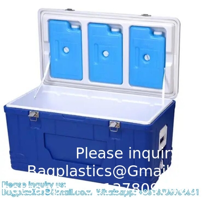 Custom Medical Organ Transport Portable Cooler Wine Beer Styrofoam Ice Chest Thermal Bag Food Large Cooler Box