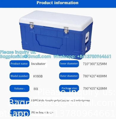 Custom Medical Organ Transport Portable Cooler Wine Beer Styrofoam Ice Chest Thermal Bag Food Large Cooler Box