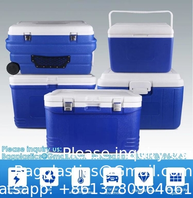 Custom Medical Organ Transport Portable Cooler Wine Beer Styrofoam Ice Chest Thermal Bag Food Large Cooler Box